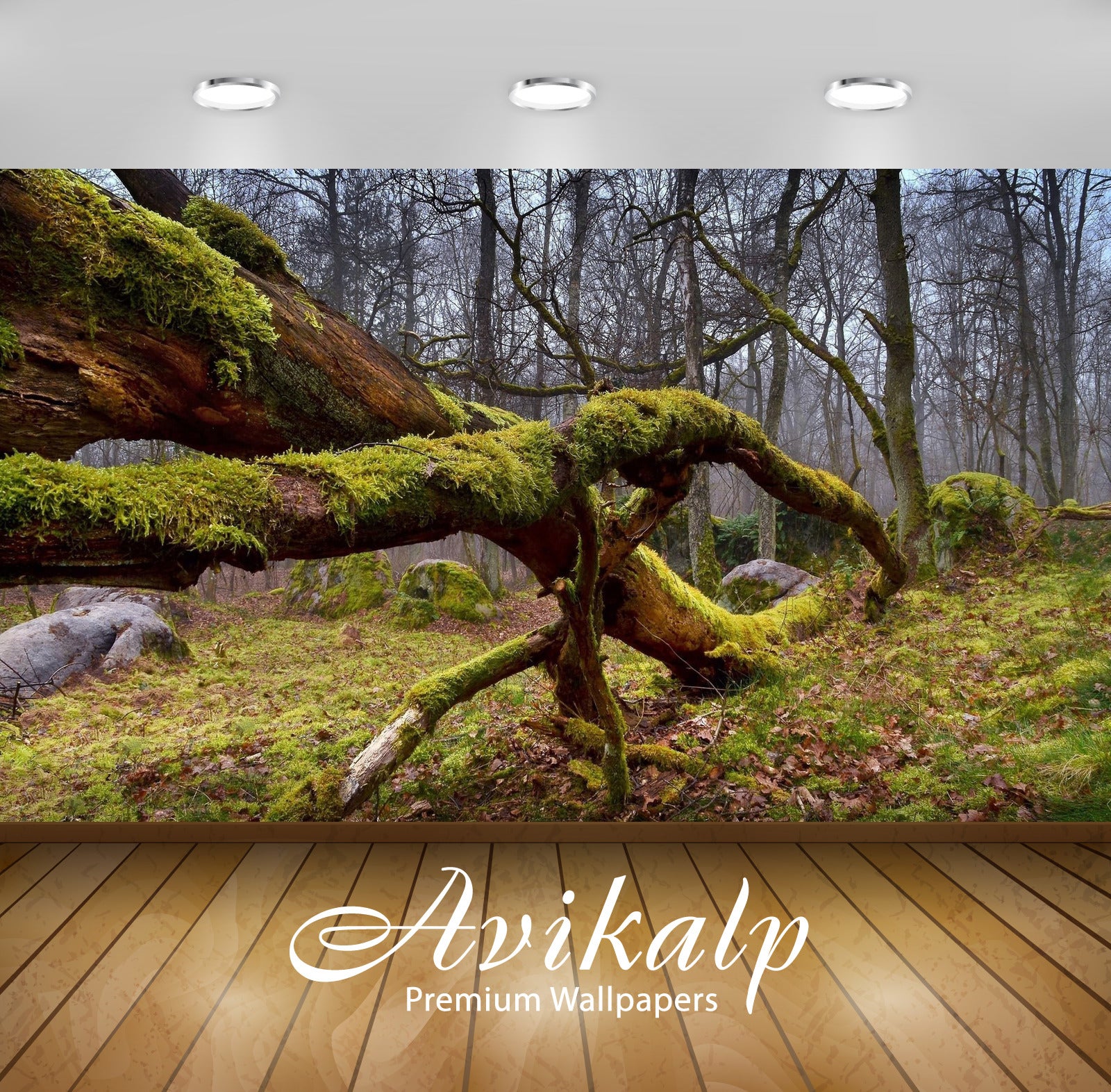 Avikalp Exclusive Awi5772 Mossy Log Nature Full HD Wallpapers for Living room, Hall, Kids Room, Kitc