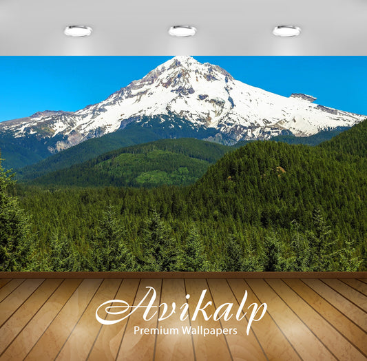 Avikalp Exclusive Awi5802 Mount Hood Nature Full HD Wallpapers for Living room, Hall, Kids Room, Kit