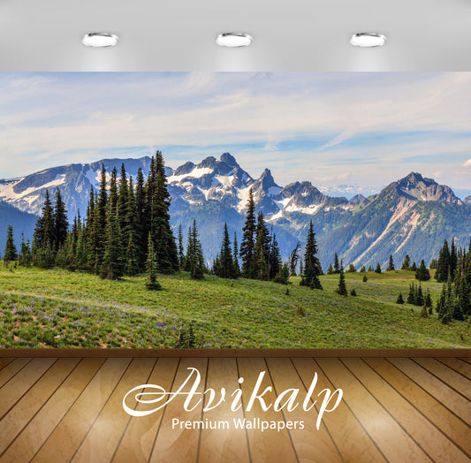 Avikalp Exclusive Awi5810 Mount Rainier National Park Nature Full HD Wallpapers for Living room, Hal