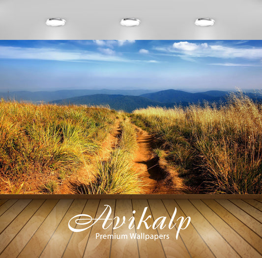 Avikalp Exclusive Awi5892 Path On A High Hill With A Great View Of The Green Forest Nature Full HD W