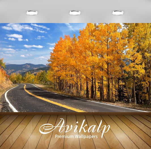 Avikalp Exclusive Awi6016 Road Aside The Autumn Forest Nature Full HD Wallpapers for Living room, Ha