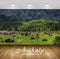 Avikalp Exclusive Awi6073 Rocky Mountain Rising From Behind The Green Forest Nature Full HD Wallpape