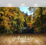 Avikalp Exclusive Awi6107 Rocky River In The Autumn Forest Nature Full HD Wallpapers for Living room