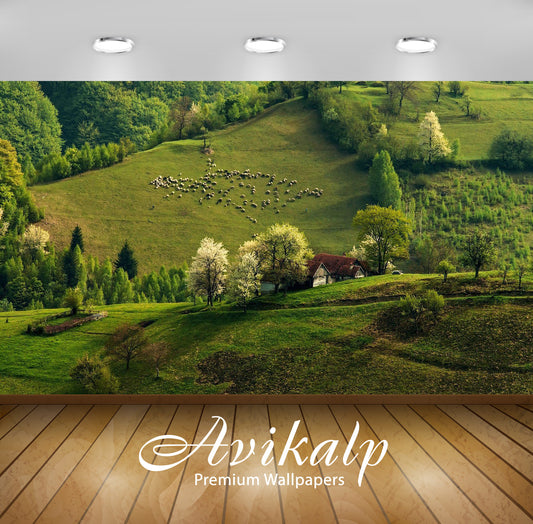 Avikalp Exclusive Awi6187 Sheep On Green Hill Nature Full HD Wallpapers for Living room, Hall, Kids