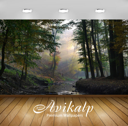 Avikalp Exclusive Awi6404 Sun Light Through The Forest Nature Full HD Wallpapers for Living room, Ha