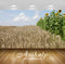 Avikalp Exclusive Awi6428 Sunflowers And Wheat Nature Full HD Wallpapers for Living room, Hall, Kids