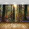 Avikalp Exclusive Awi6441 Sunlit Snowy Forest Nature Full HD Wallpapers for Living room, Hall, Kids