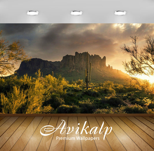 Avikalp Exclusive Awi6538 Superstition Mountains Arizona Nature Full HD Wallpapers for Living room,