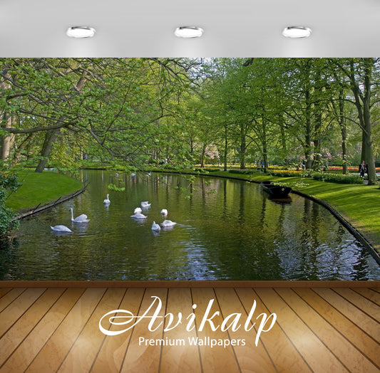 Avikalp Exclusive Awi6540 Swans In The Park Nature Full HD Wallpapers for Living room, Hall, Kids Ro