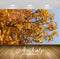 Avikalp Exclusive Awi6545 Tall Sweetgum Tree In Autumn Nature Full HD Wallpapers for Living room, Ha