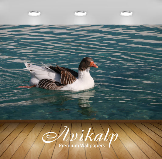 Avikalp Exclusive Premium duck HD Wallpapers for Living room, Hall, Kids Room, Kitchen, TV Backgroun