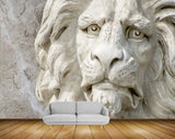 Avikalp MWZ0374 White Lion HD Wallpaper