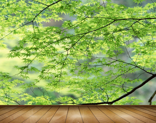 Avikalp MWZ2010 Trees Branches Leaves 3D HD Wallpaper