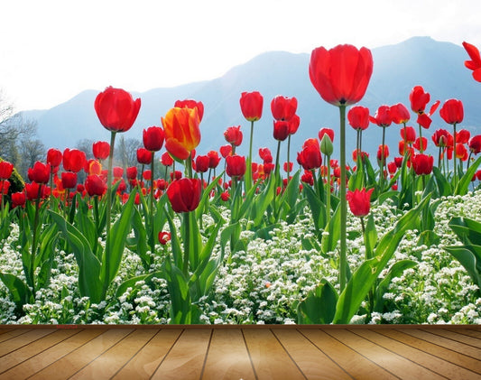 Avikalp MWZ2024 Red Tulip Flowers Plants 3D HD Wallpaper