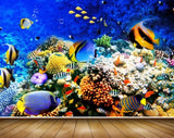 Avikalp MWZ2067 Orange Blue Black Fishes Sea Stones Ocean Water Underwater Coral Marine HD Wallpaper