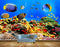 Avikalp MWZ2068 Blue Black Orange Yellow Fishes Stones Sea Ocean Water Underwater Marine Coral HD Wallpaper