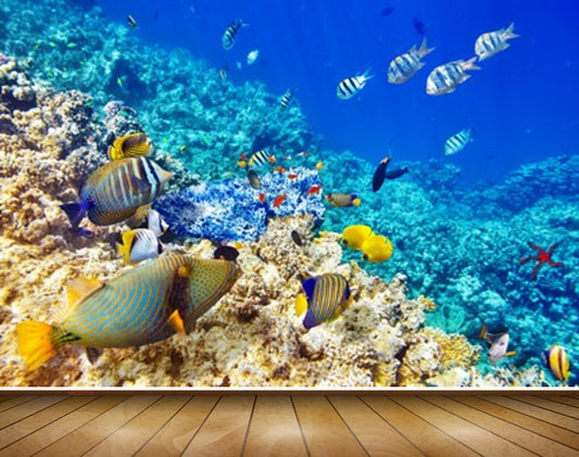 Avikalp MWZ2106 Sea Fishes Stones Underwater Ocean HD Wallpaper