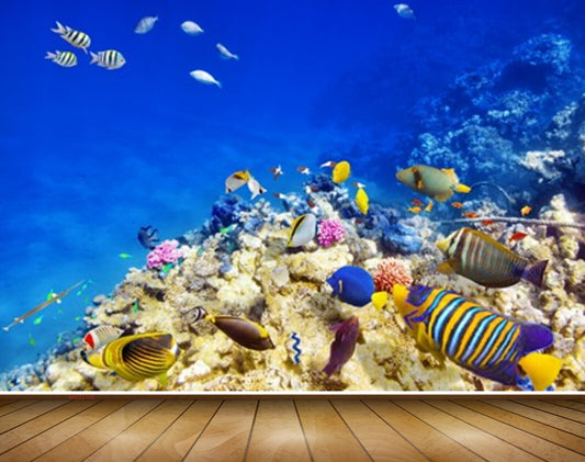 Avikalp MWZ2109 Sea Fishes Stones Underwater Ocean HD Wallpaper