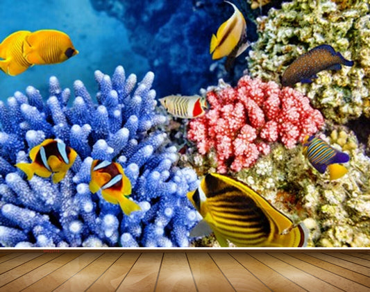 Avikalp MWZ2113 Sea Fishes Anemones Underwater Ocean HD Wallpaper