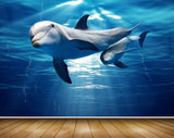 Avikalp MWZ2151 Sea Dolphins Swim Undertwater Water HD Wallpaper