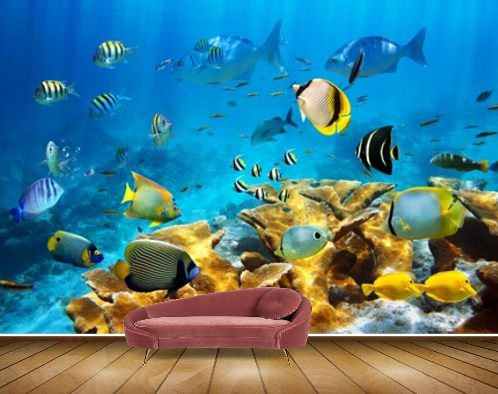 Phone Underwater World Fish Colourful Fish wallpaper  Download Best Free  wallpapers