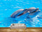 Avikalp MWZ2196 Blue Sea Dolphins Water HD Wallpaper