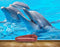 Avikalp MWZ2197 Blue Sea Dolphins Water HD Wallpaper