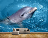 Avikalp MWZ2200 Blue Sea Dolphins Water HD Wallpaper