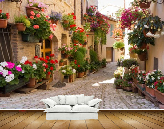 Avikalp MWZ2272 Flowers Plants Pots Houses Road Alley Background HD Wallpaper