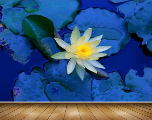 Avikalp MWZ2338 White Lotus Flowers Leaves Pond HD Wallpaper