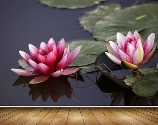 Avikalp MWZ2341 Pink Lotus Flower Leaves HD Wallpaper